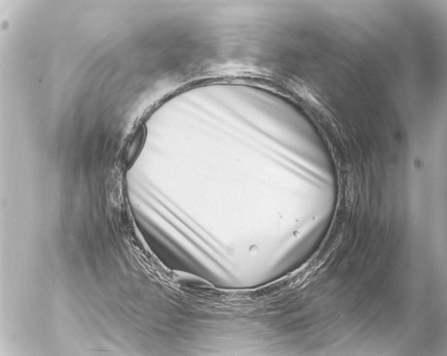 X0000054471358200508270119