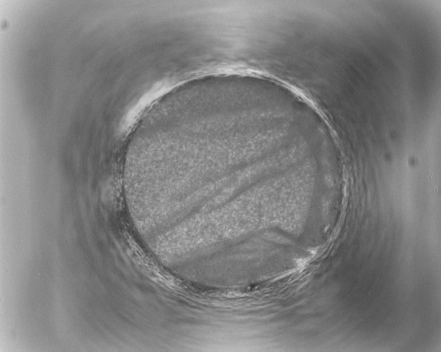 X0000054471359200508270119