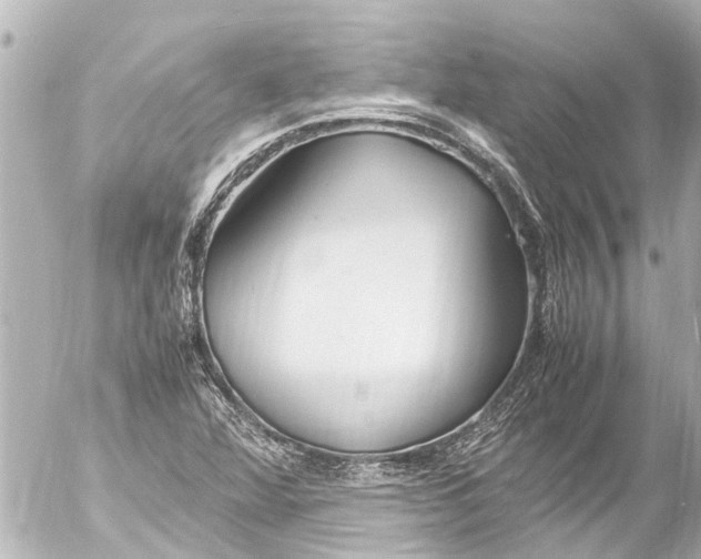 X0000054471360200508270119