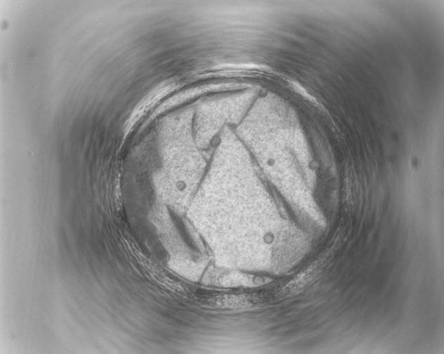 X0000054471362200508270119