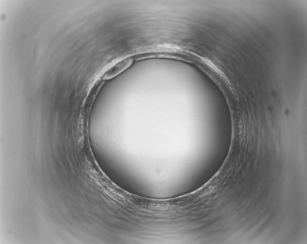 X0000054471364200508270119