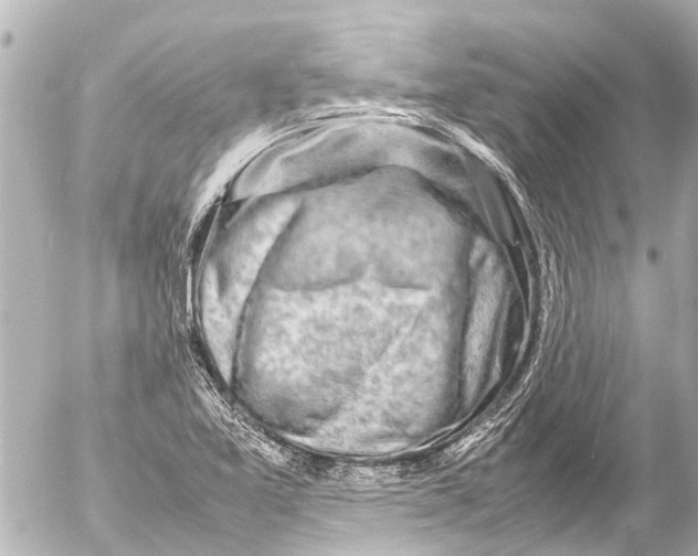 X0000054471365200508270119