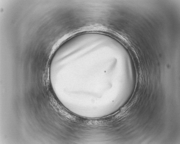 X0000054471366200508270119