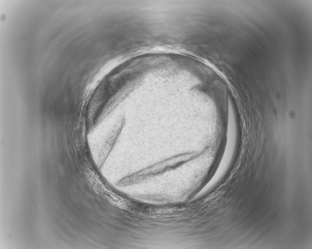 X0000054471367200508270119