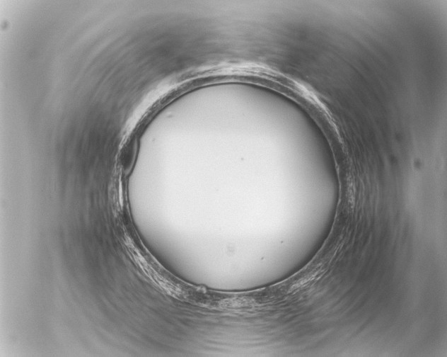 X0000054471368200508270119