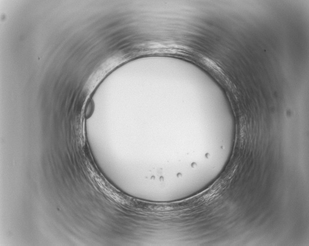 X0000054471370200508270119