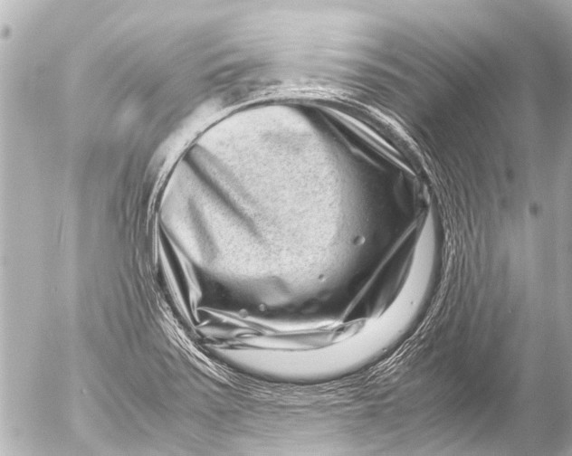 X0000054471371200508270119