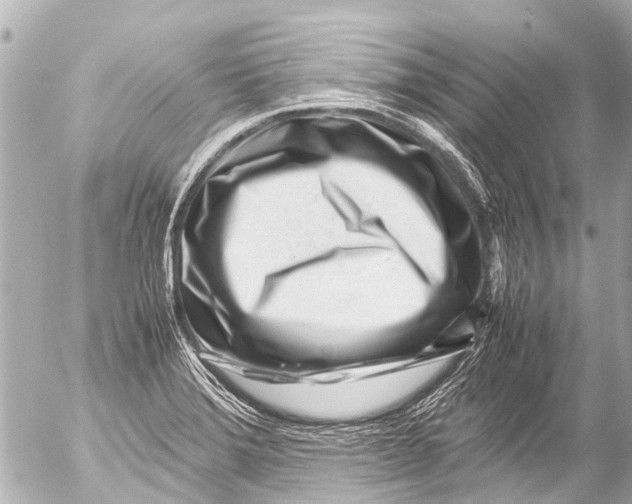 X0000054471372200508270119