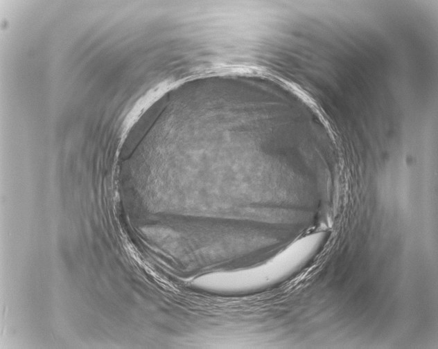 X0000054471373200508270119