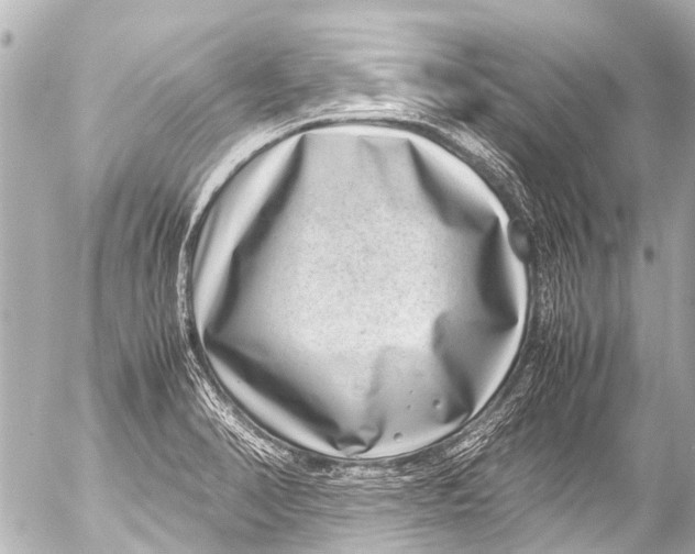 X0000054471374200508270118