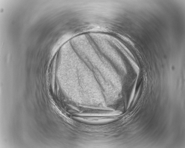 X0000054471375200508270118