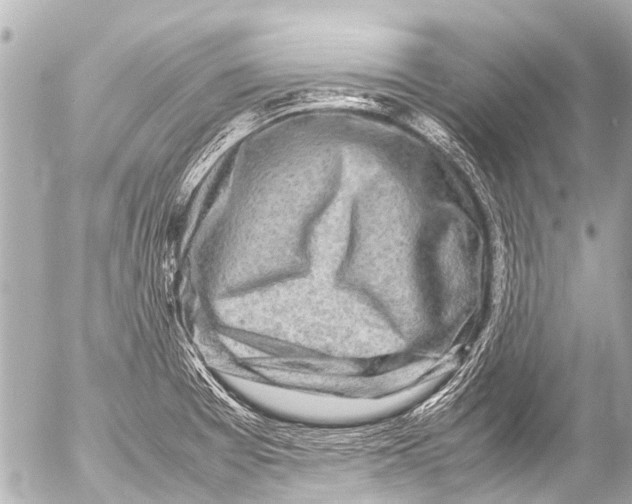 X0000054471377200508270118