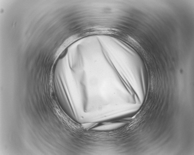 X0000054471378200508270118