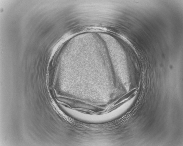 X0000054471379200508270118