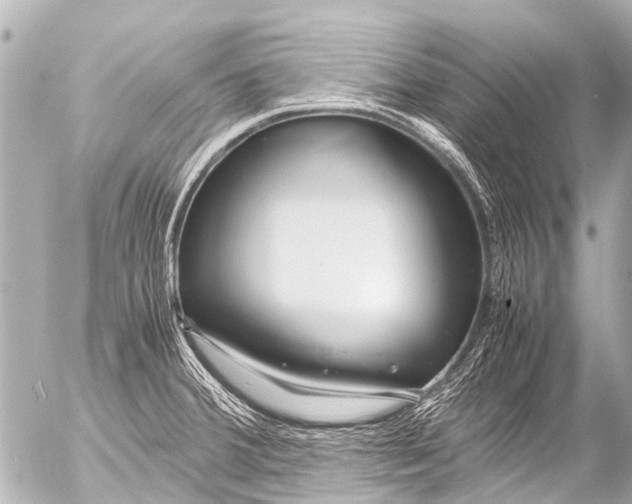 X0000054471380200508270118