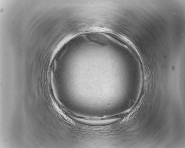 X0000054471381200508270118