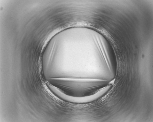 X0000054471382200508270118