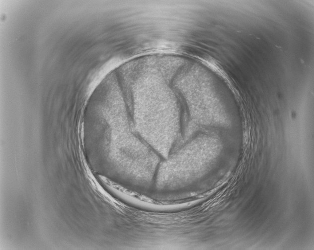 X0000054471383200508270118