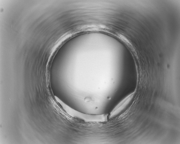 X0000054471384200508270118