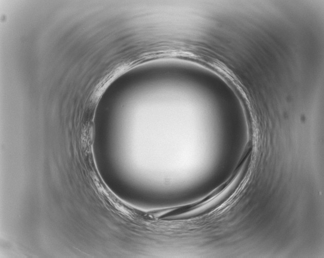 X0000054471385200508270118