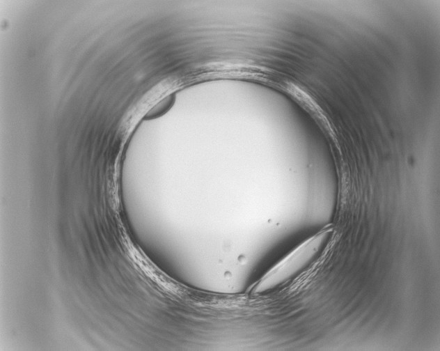 X0000054471386200508270118