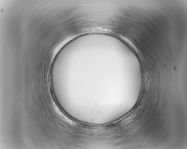 X0000054471387200508270118