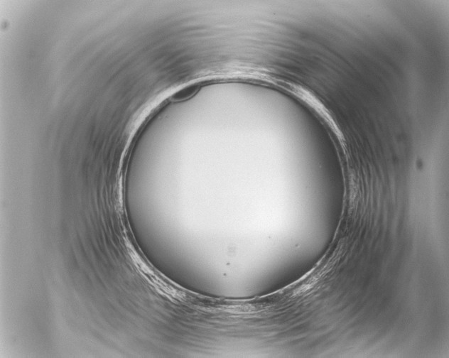 X0000054471388200508270118