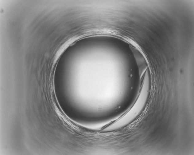 X0000054471389200508270118