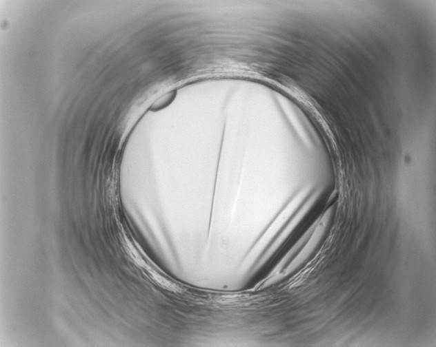 X0000054471390200508270118