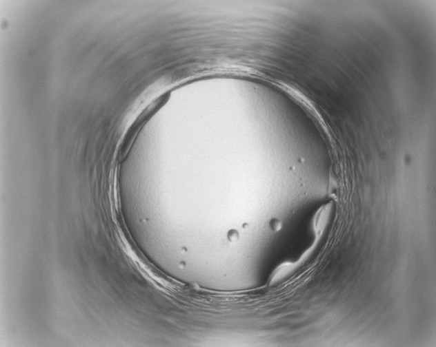 X0000054471391200508270118