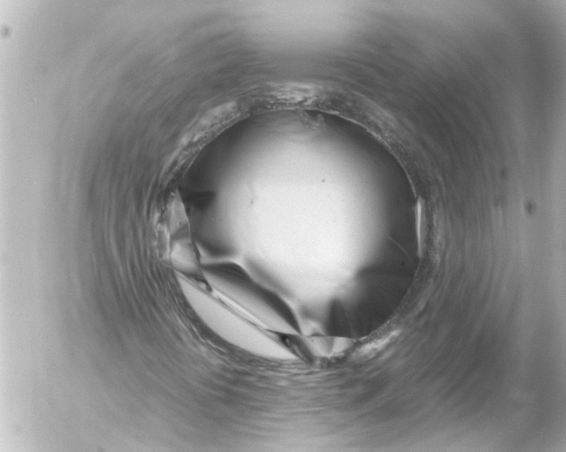 X0000054471394200508270117