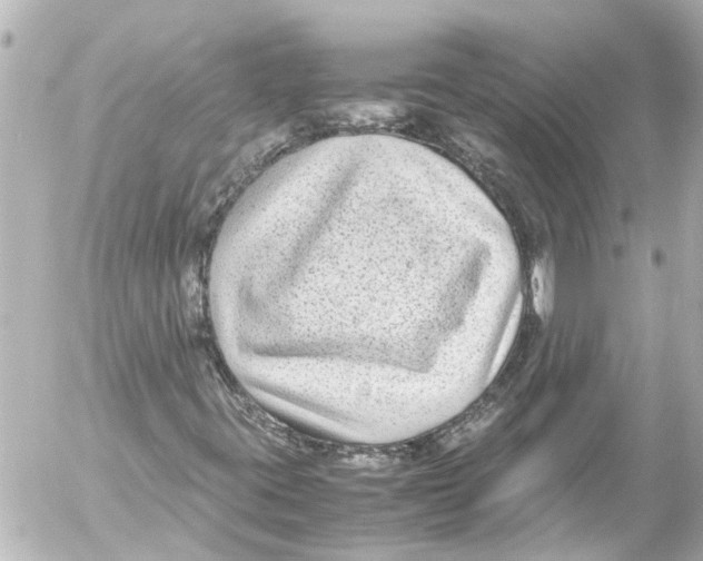 X0000054471395200508270117