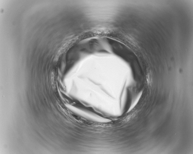 X0000054471396200508270117