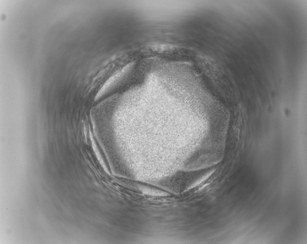 X0000054471397200508270117