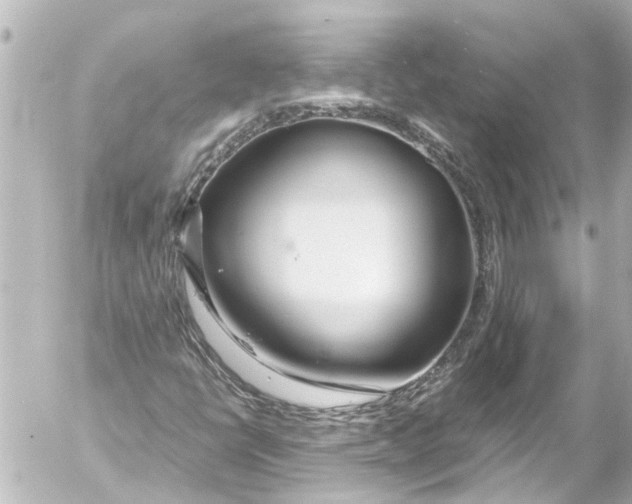 X0000054471398200508270117