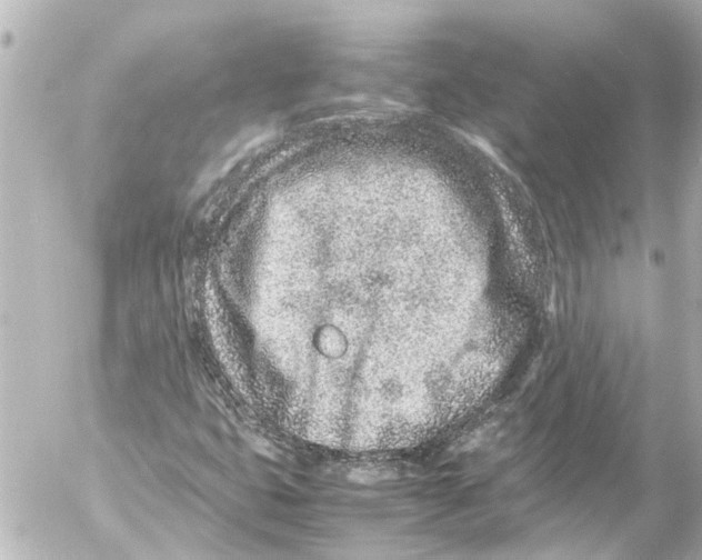 X0000054471399200508270117