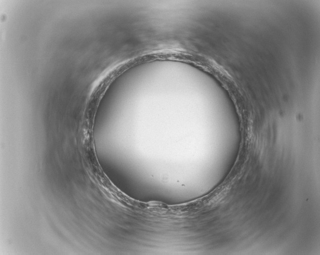 X0000054471400200508270117