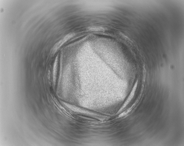 X0000054471401200508270117