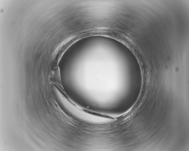 X0000054471402200508270117