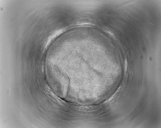 X0000054471405200508270118