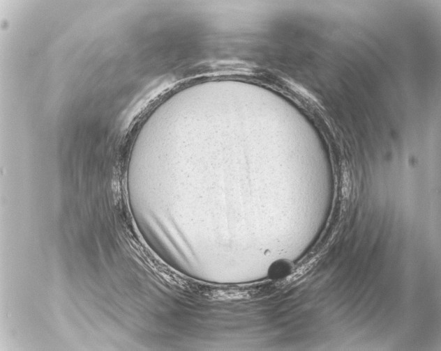 X0000054471407200508270118