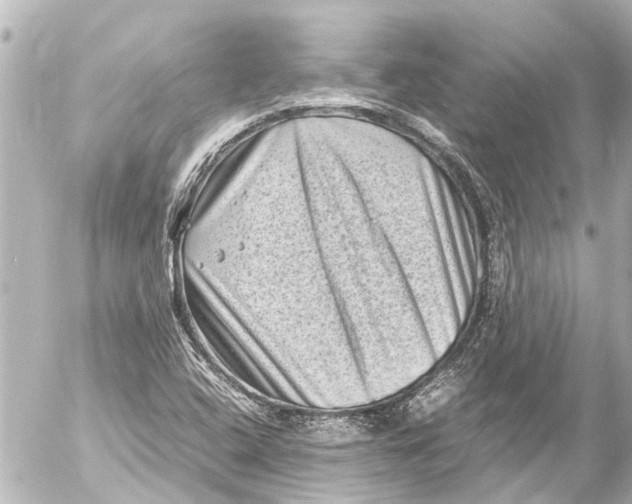 X0000054471408200508270118