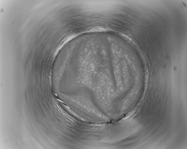 X0000054471409200508270118