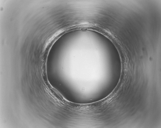 X0000054471410200508270118