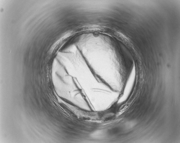 X0000054471411200508270118