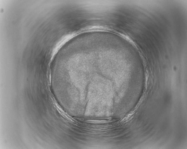 X0000054471413200508270118