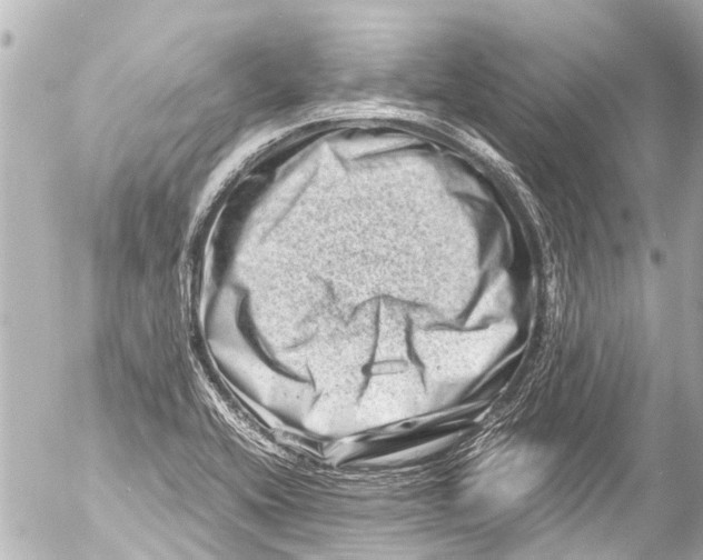 X0000054471416200508270118