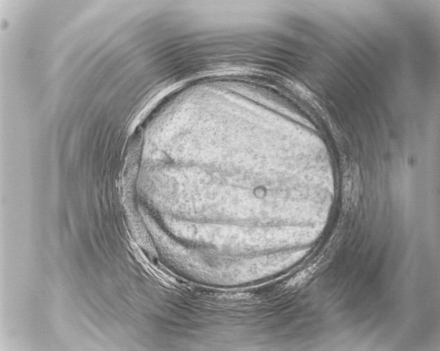 X0000054471417200508270118