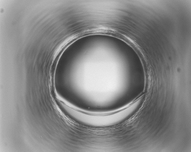 X0000054471418200508270118