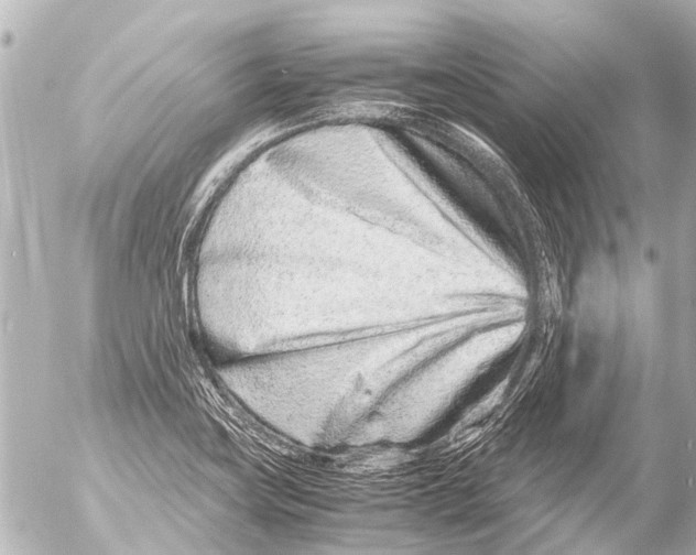 X0000054471419200508270118